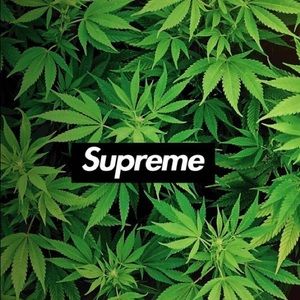 Meet your Posher, Diego